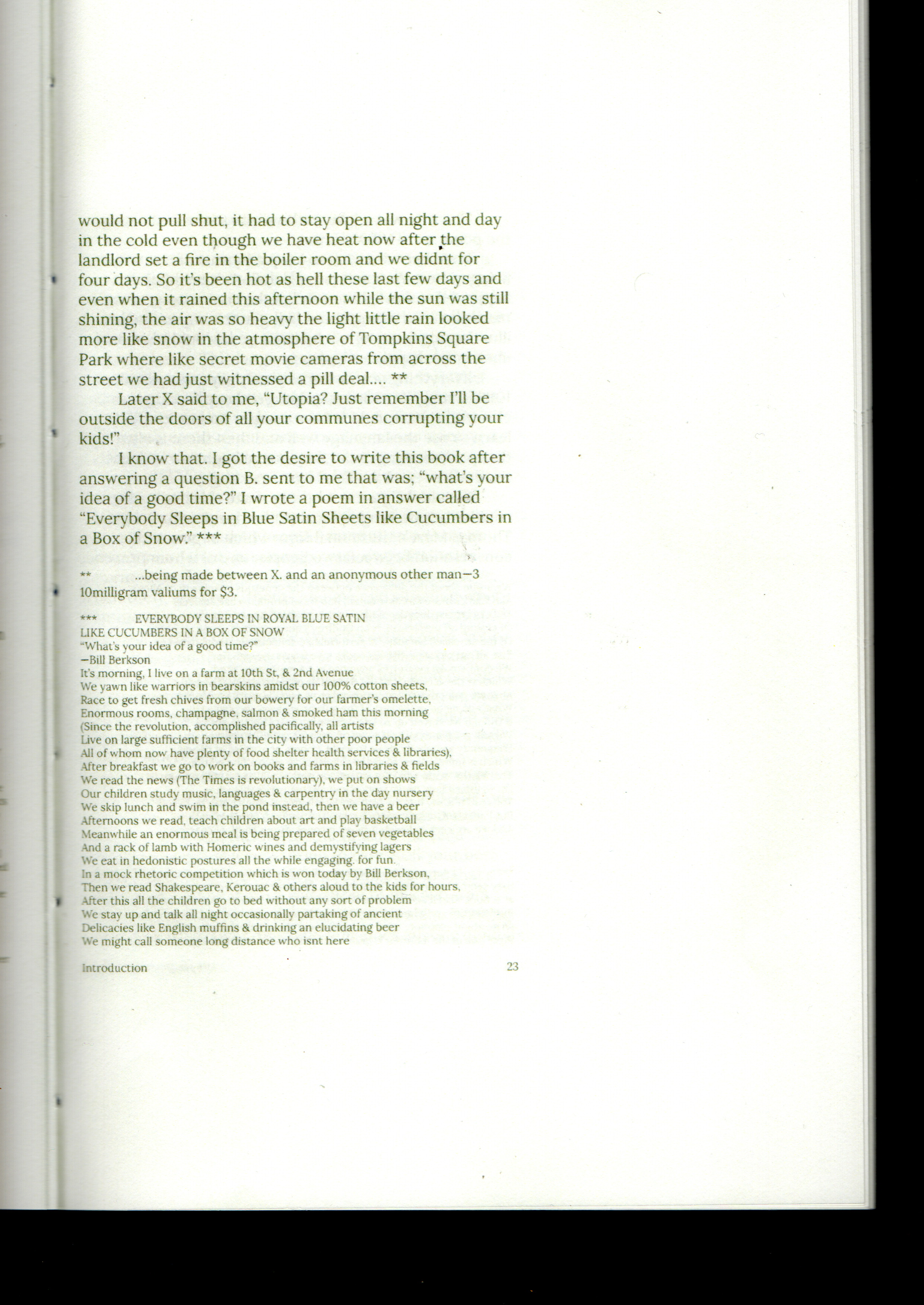 Utopia Bernadette Mayer 3